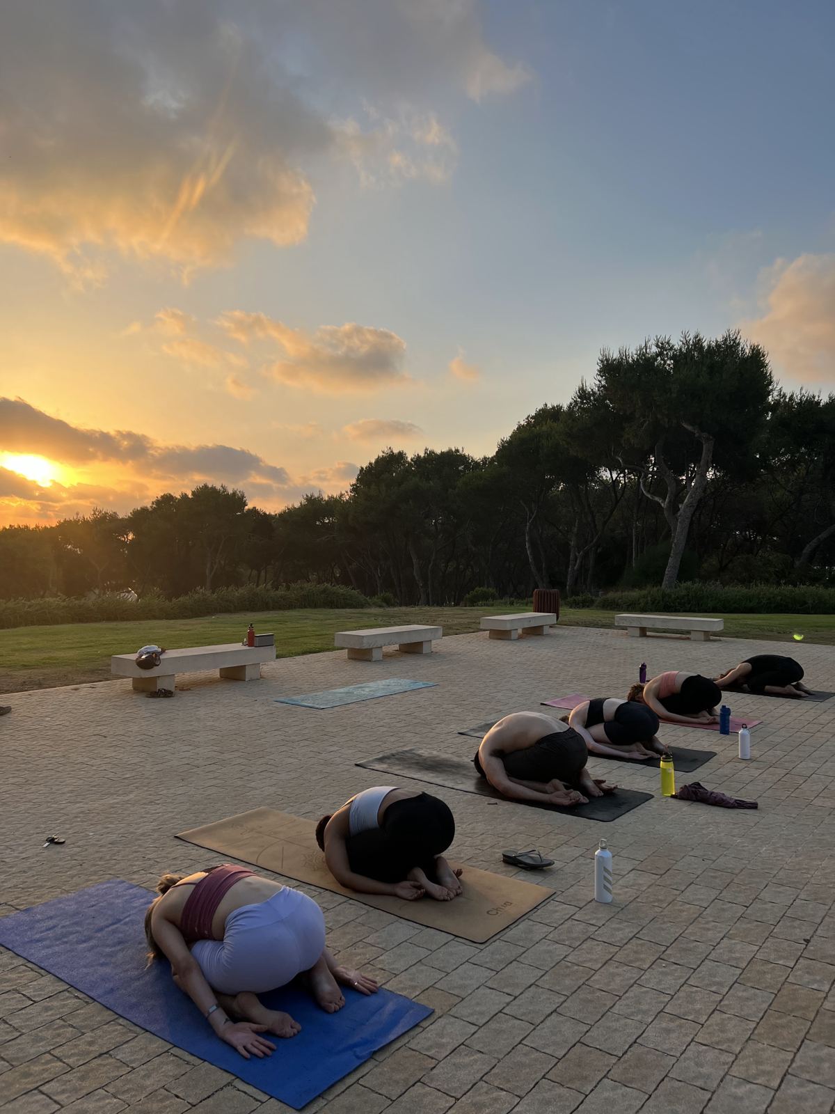שוואסנה בשקיעה בפארק פסיפס הציפורים